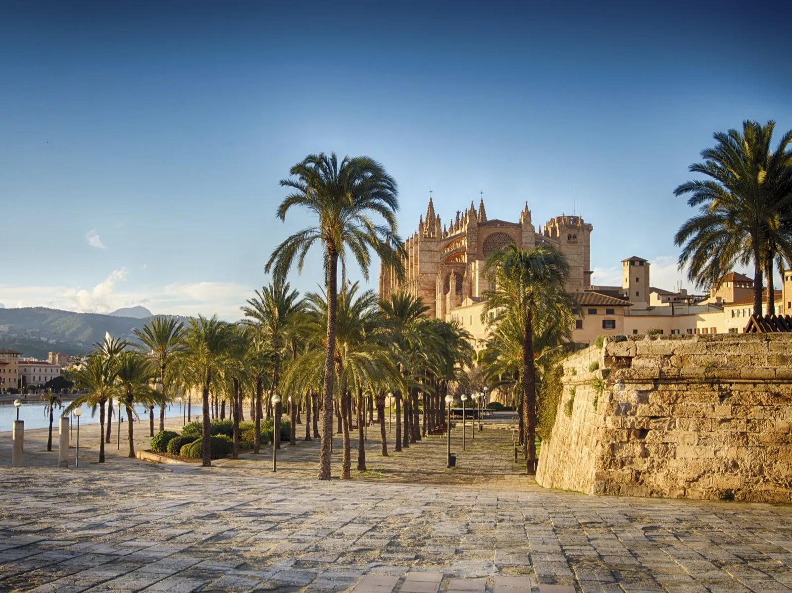 Palma cathedral and the old town at golden hour